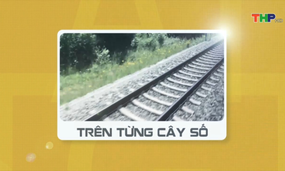 An to&agrave;n giao th&ocirc;ng: H&agrave;nh lang giao th&ocirc;ng đường sắt cần được bảo đảm an to&agrave;n	