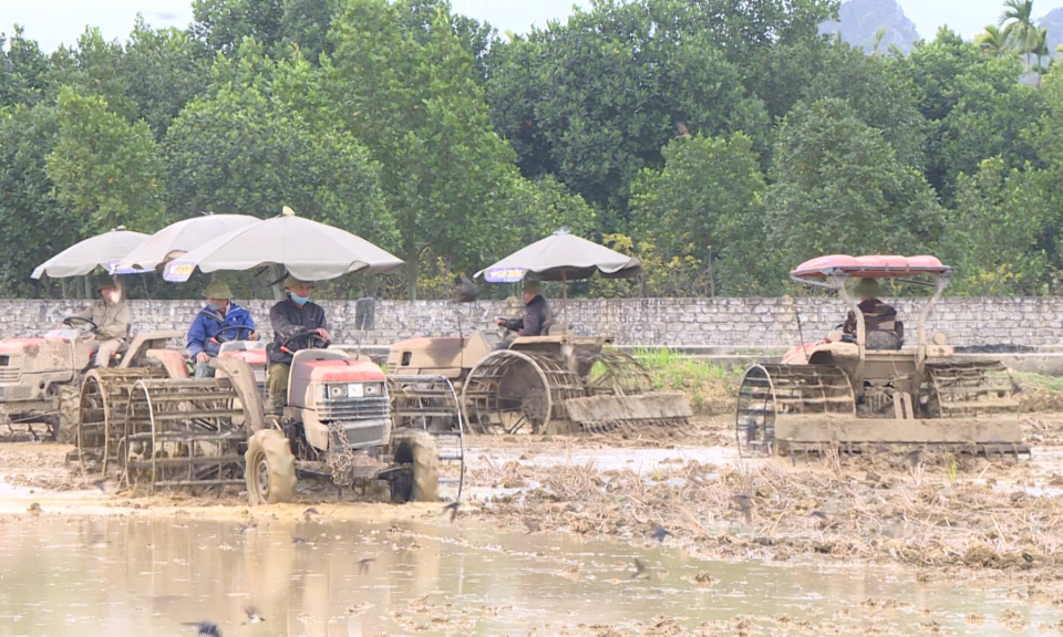 N&ocirc;ng th&ocirc;n mới Hải Ph&ograve;ng: Đại điền trong n&ocirc;ng nghiệp - Hướng đi tất yếu của nền n&ocirc;ng nghiệp hiện đại