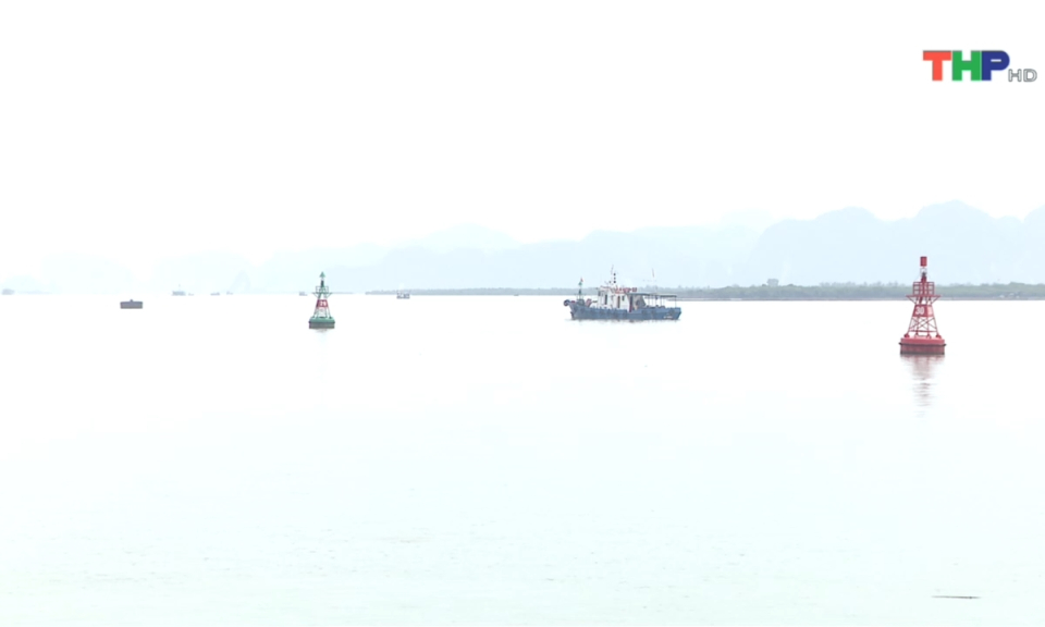 Bản tin thời sự tối (24/03/2024)