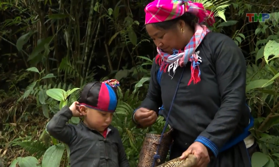 Bản tin Hải Ph&ograve;ng kết nối (30/03/2024)