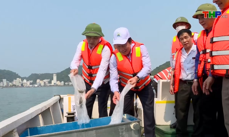 Bản tin thời sự s&aacute;ng (01/04/2024)