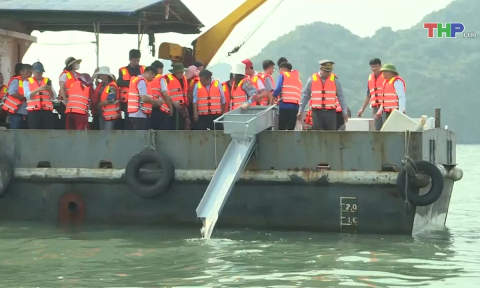 Thả c&aacute; giống t&aacute;i tạo nguồn lợi thủy sản