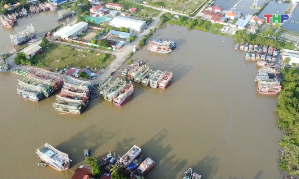 Bản tin thời sự trưa (02/04/2024)