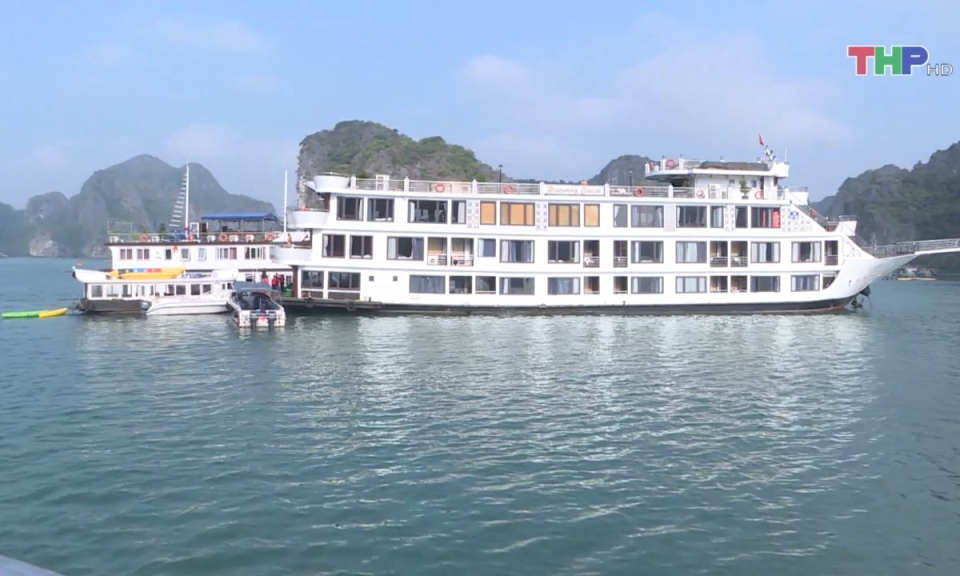 Du lịch Việt Nam tăng trưởng ấn tượng  