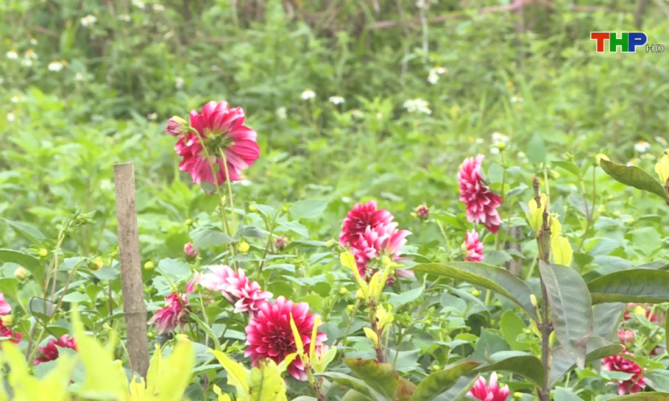 Bản tin tiếng Trung (03/04/2024)