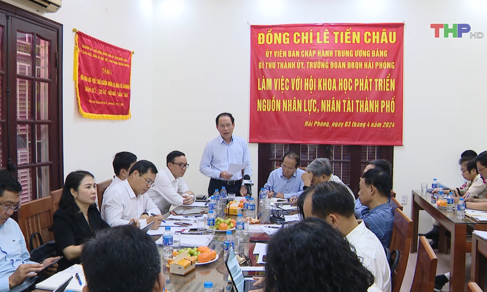 Phát triển nguồn nhân lực, nhân tài thành phố Hải Phòng