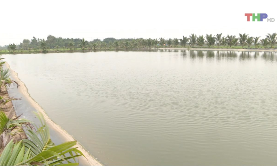 Bản tin thời sự trưa (05/04/2024)