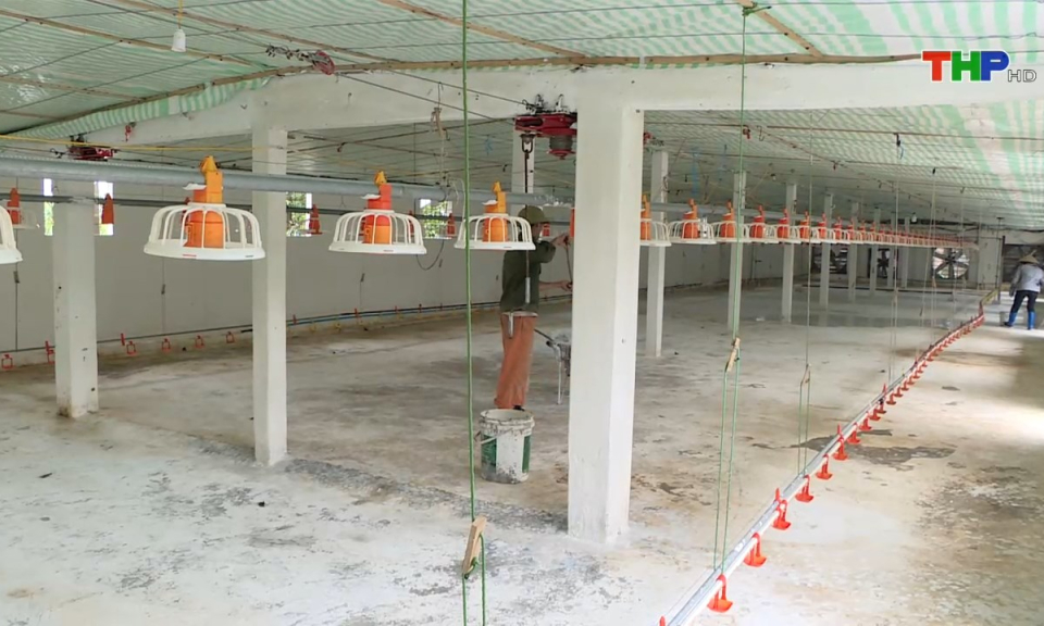 N&ocirc;ng th&ocirc;n mới Hải Ph&ograve;ng: Ph&aacute;t triển c&aacute;c m&ocirc; h&igrave;nh sản xuất hiệu quả trong n&ocirc;ng nghiệp