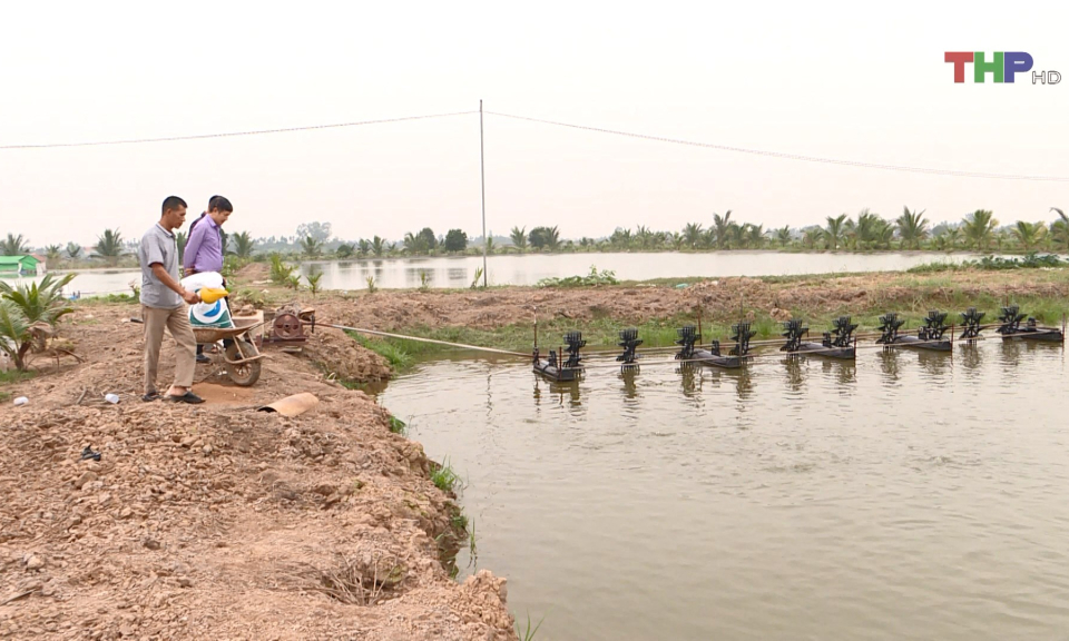M&ocirc; h&igrave;nh kinh tế hiệu quả cao từ đất ruộng bỏ hoang