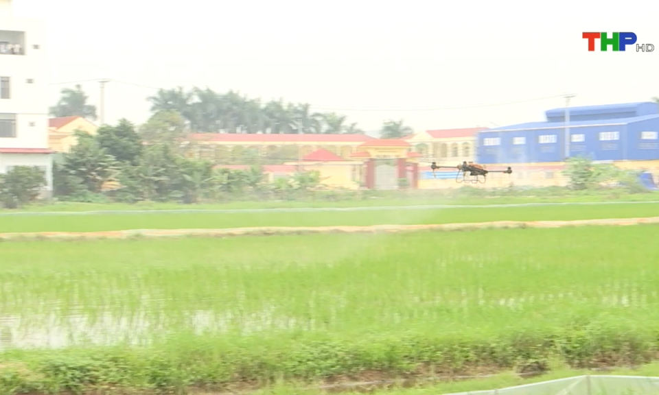 Bản tin thời sự tối (06/04/2024)