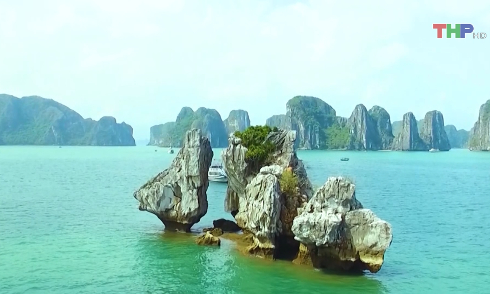 Ph&aacute;t huy gi&aacute; trị Di sản thi&ecirc;n nhi&ecirc;n thế giới li&ecirc;n tỉnh  