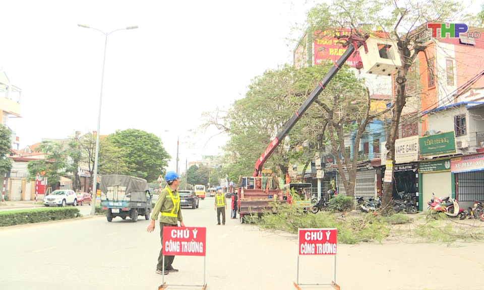 Bảo đảm an to&agrave;n cho c&acirc;y xanh đ&ocirc; thị trước m&ugrave;a mưa b&atilde;o