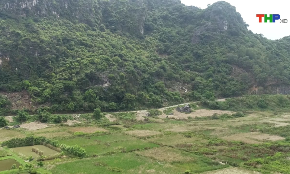 Chuyển đổi số: Đẩy mạnh chuyển đổi số trong ng&agrave;nh l&acirc;m nghiệp