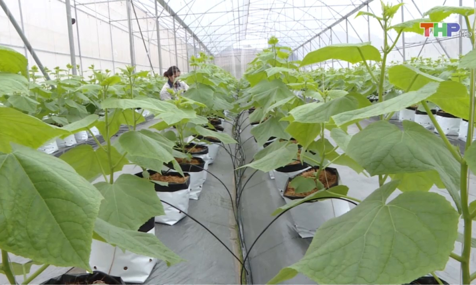 Bản tin thời sự trưa (11/04/2024)