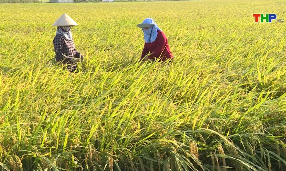 10 ph&uacute;t v&agrave;ng (11/04/2024)