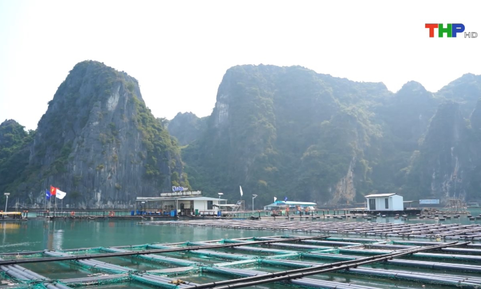 Bản tin thời sự tối (12/04/2024)