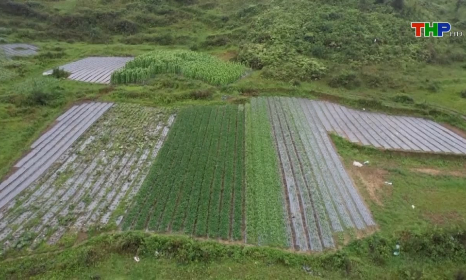 Bản tin Hải Ph&ograve;ng kết nối (10/05/2024)