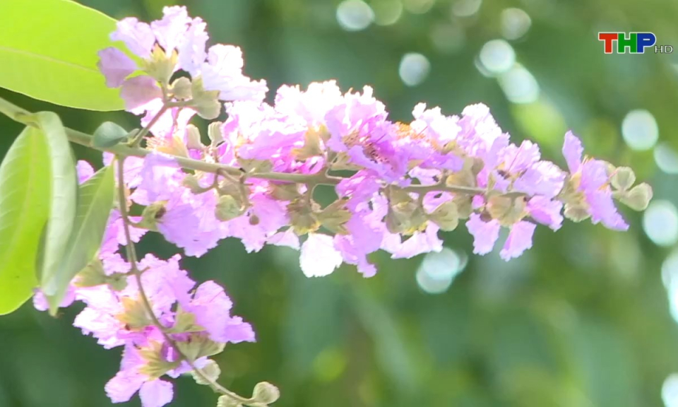 Bản tin thời sự s&aacute;ng (14/05/2024)