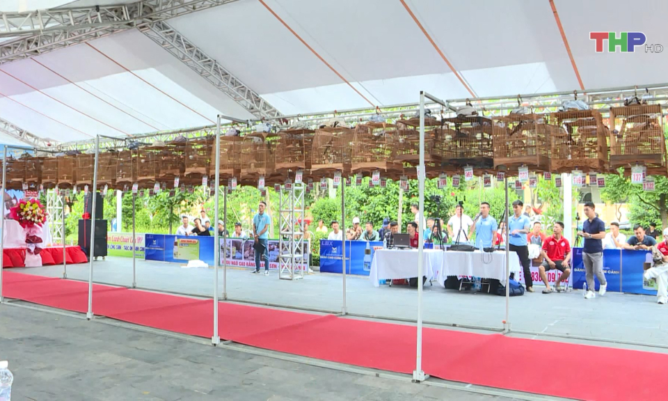 Hội thi Ch&agrave;o m&agrave;o đấu h&oacute;t li&ecirc;n tỉnh lần thứ 7