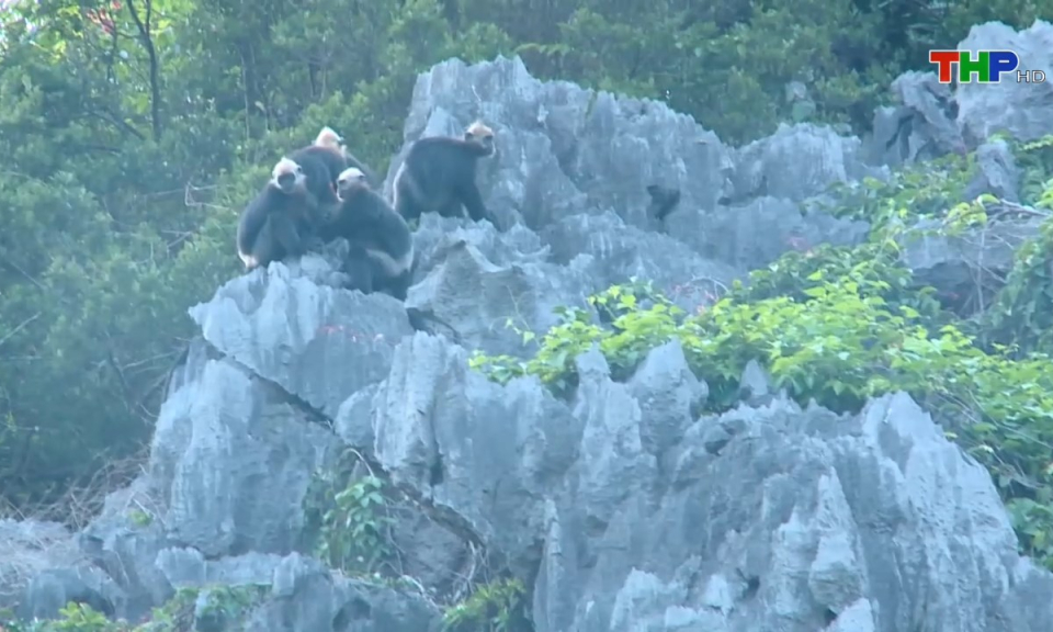 Bản tin Hải Ph&ograve;ng h&ocirc;m nay (17/05/2024)