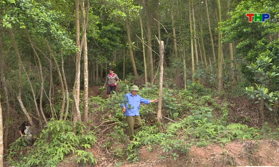 Ph&aacute;p luật v&agrave; cuộc sống: Kh&oacute; khăn trong c&ocirc;ng t&aacute;c quản l&yacute; đất l&acirc;m nghiệp