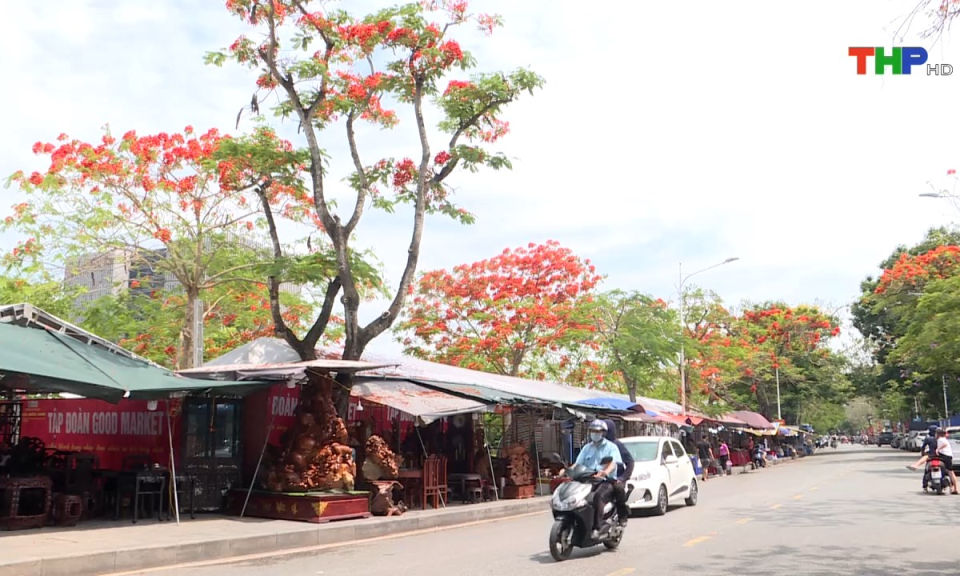 10 ph&uacute;t v&agrave;ng (20/05/2024)