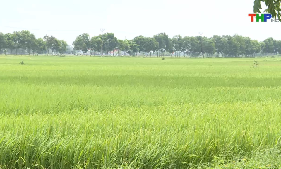 Bản tin thời sự s&aacute;ng (22/05/2024)