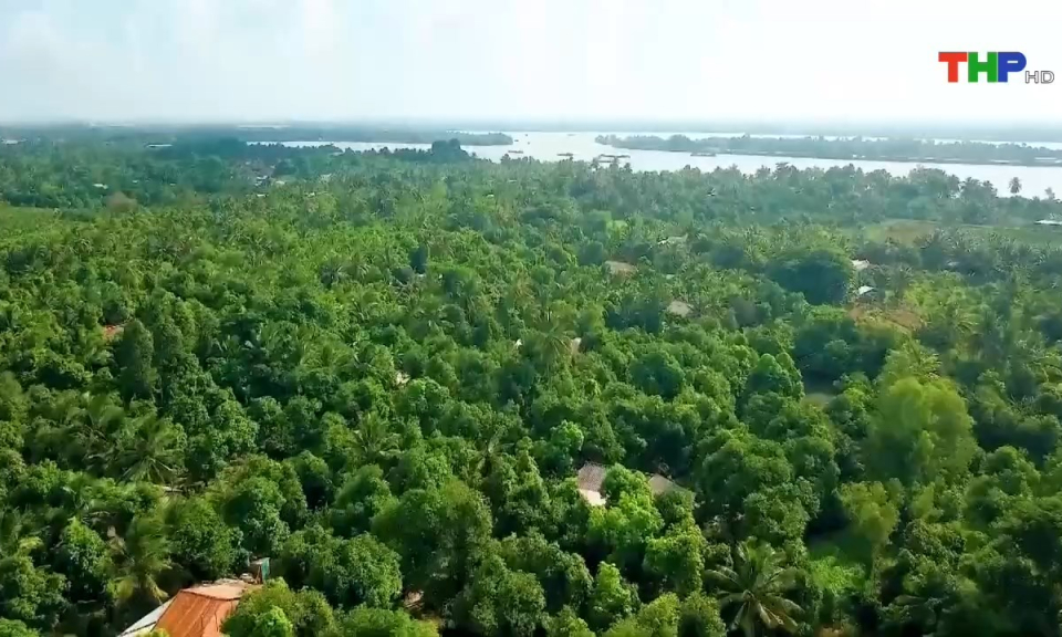 10 ph&uacute;t v&agrave;ng (22/05/2024)