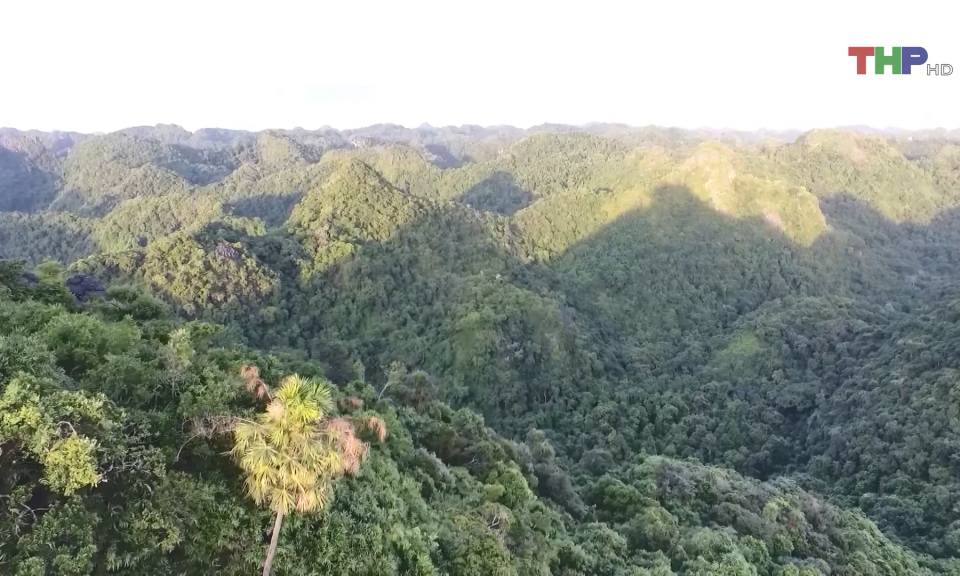 Bảo tồn đa dạng sinh học tại Vườn Quốc gia C&aacute;t B&agrave;