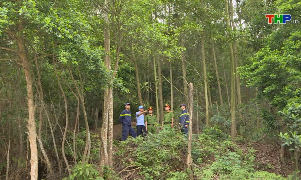 To&agrave;n d&acirc;n PCCC: Tăng cường c&ocirc;ng t&aacute;c ph&ograve;ng ch&aacute;y rừng