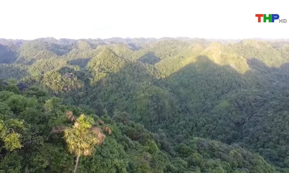 Bản tin tiếng Anh (23/05/2024)