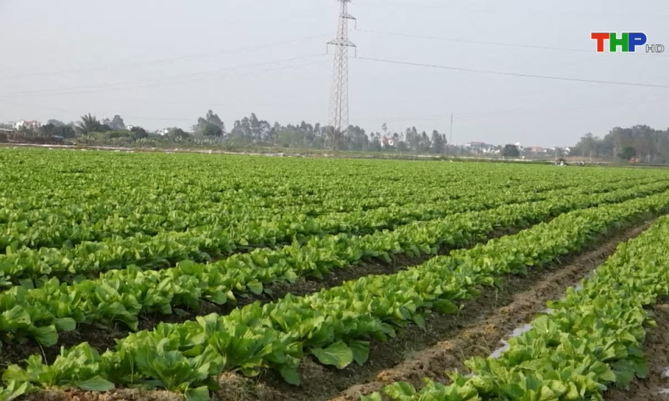 Bản tin thời sự s&aacute;ng (24/05/2024)