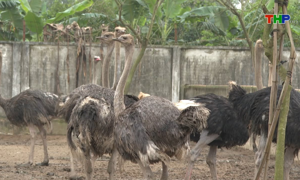 Bản tin Hải Ph&ograve;ng kết nối (24/05/2024)