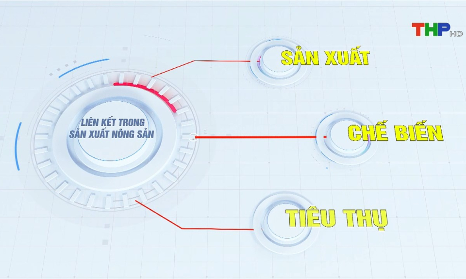 N&ocirc;ng th&ocirc;n mới Hải Ph&ograve;ng: Li&ecirc;n kết theo chuỗi gi&aacute; trị cho n&ocirc;ng sản