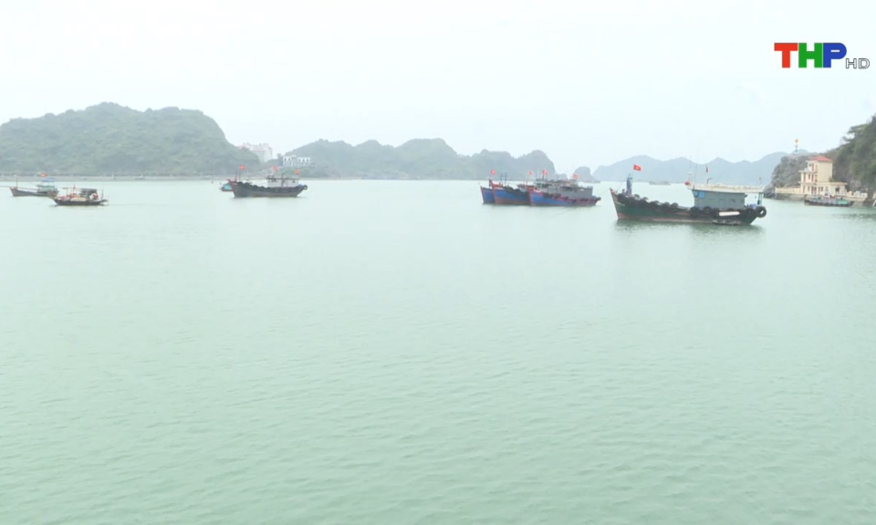 Bản tin tiếng Trung (24/05/2024)