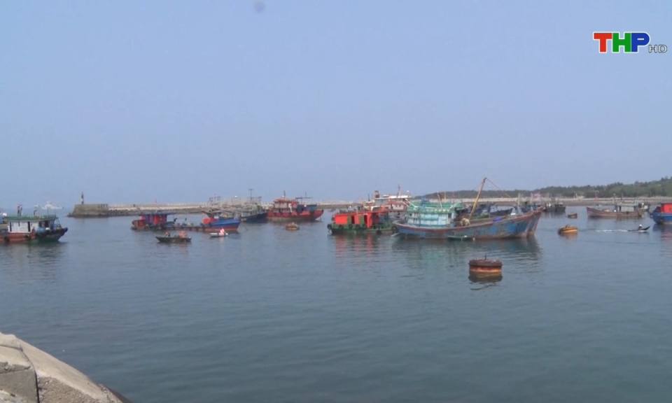 Tạp ch&iacute; kinh tế: T&iacute;n dụng ưu đ&atilde;i gi&uacute;p ngư d&acirc;n b&aacute;m biển