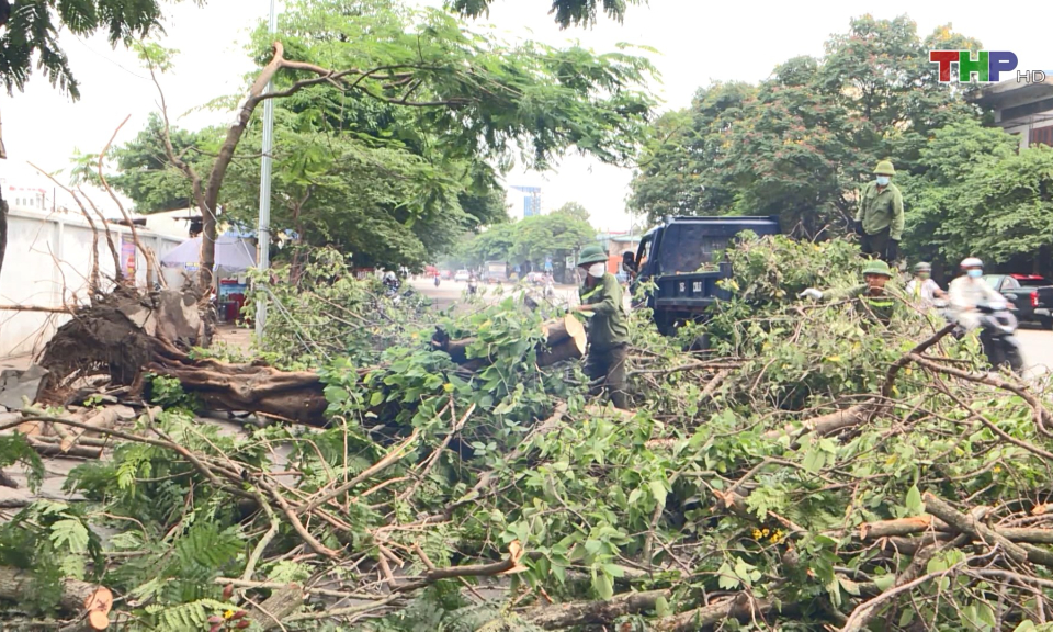 Nguy cơ mất an to&agrave;n c&acirc;y xanh đ&ocirc; thị trong m&ugrave;a mưa b&atilde;o