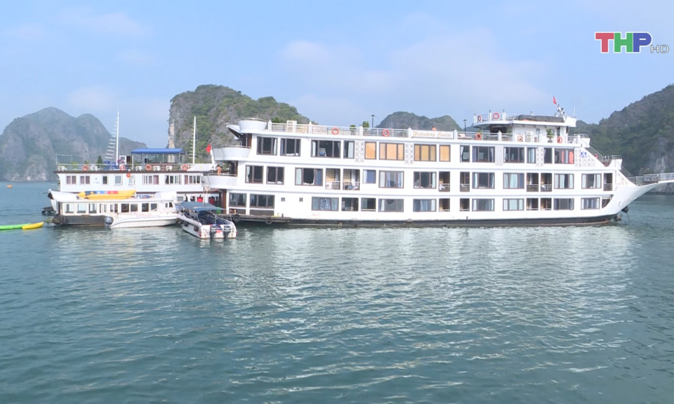 Du lịch Hải Ph&ograve;ng tăng trưởng ấn tượng 