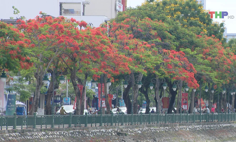 Mở rộng cảnh quan xanh tại v&ugrave;ng l&otilde;i đ&ocirc; thị