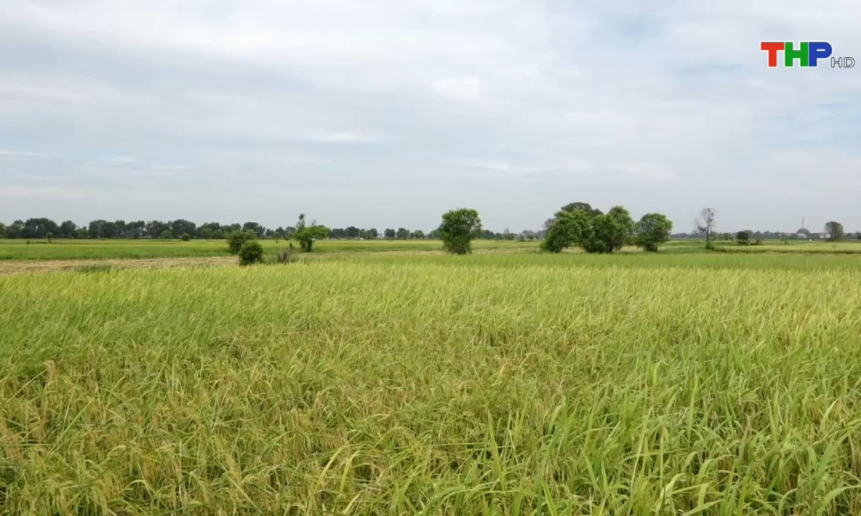 Bản tin thời sự s&aacute;ng (30/05/2024)