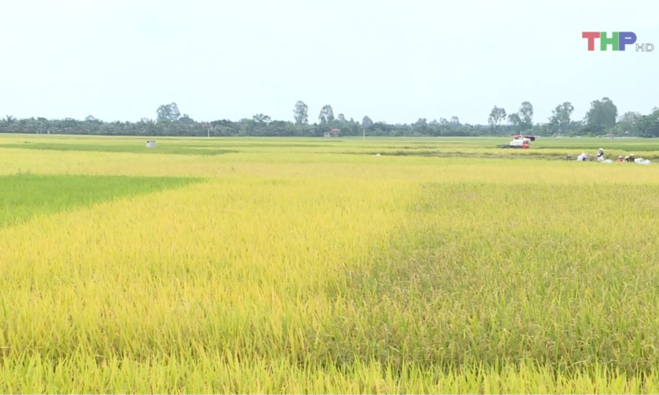 Bản tin thời sự trưa (30/05/2024)