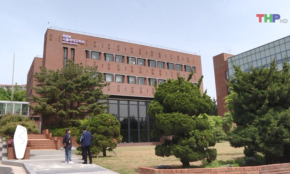 Hợp t&aacute;c Hải Ph&ograve;ng - H&agrave;n Quốc trong ph&aacute;t triển c&ocirc;ng nghệ y sinh