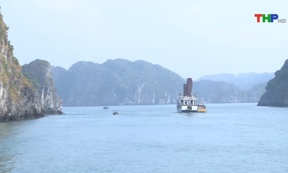 Bản tin Hải Ph&ograve;ng h&ocirc;m nay (31/05/2024)