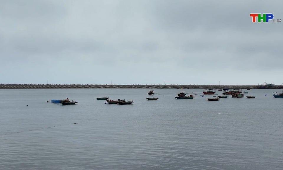 Bản tin tiếng Trung (31/05/2024)