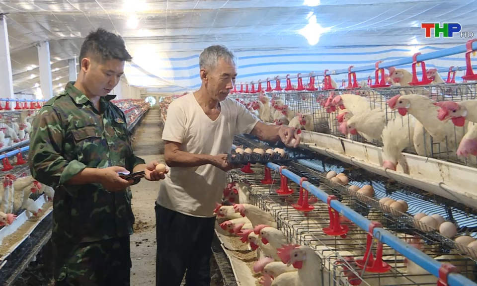 N&ocirc;ng th&ocirc;n mới Hải Ph&ograve;ng: Ứng dụng khoa học c&ocirc;ng nghệ trong sản xuất n&ocirc;ng nghiệp