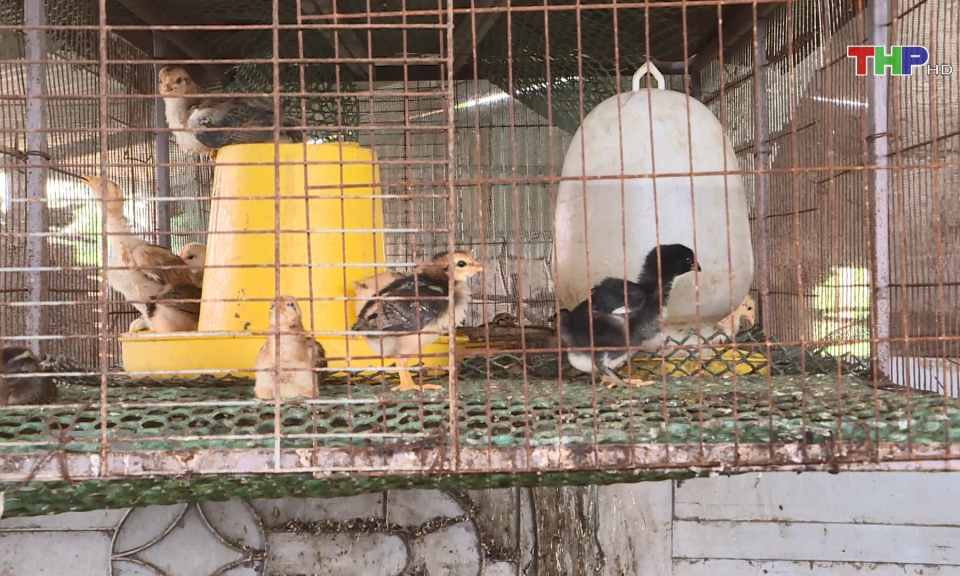 Ph&aacute;t triển kinh tế bền vững, bảo vệ m&ocirc;i trường