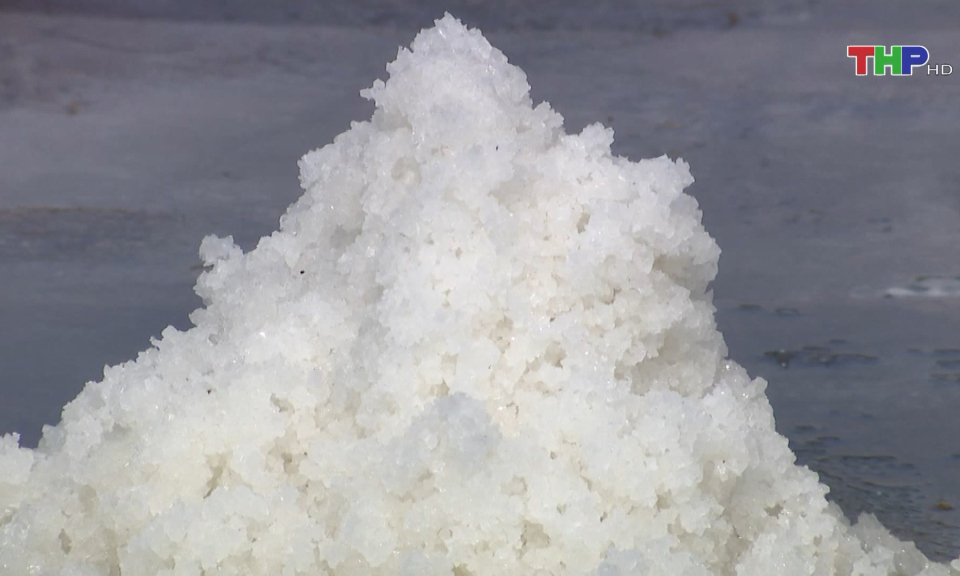 G&igrave;n giữ nghề l&agrave;m muối ở Đồ Sơn