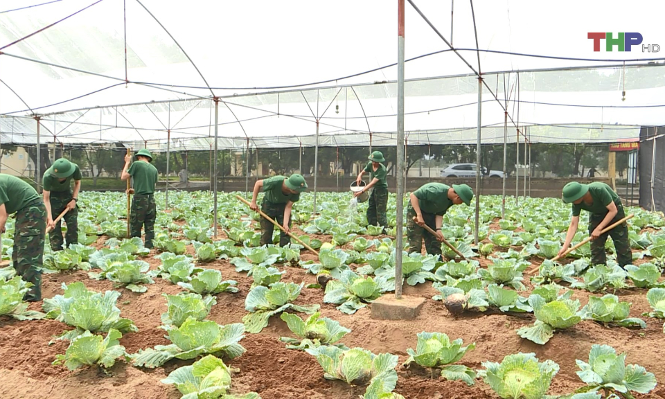 Trưởng th&agrave;nh trong m&ocirc;i trường qu&acirc;n ngũ