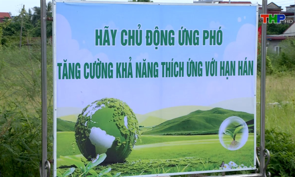 Bản tin Hải Ph&ograve;ng h&ocirc;m nay (04/06/2024)