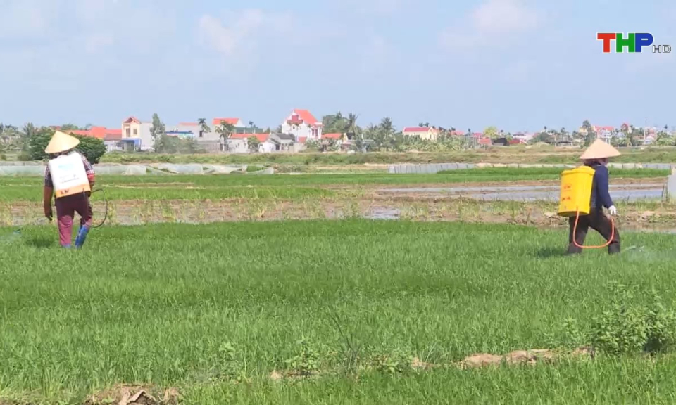 Ph&aacute;p luật v&agrave; cuộc sống: Cần n&acirc;ng cao &yacute; thức bảo vệ m&ocirc;i trường đồng ruộng